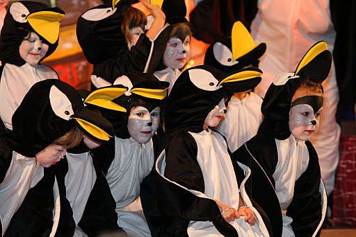 Prunksitzung 2010: Bild 55 von 130