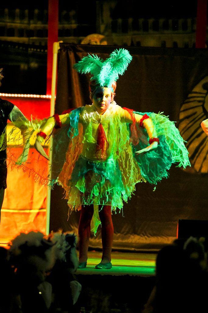 Prunksitzung 2011: Bild 50 von 287