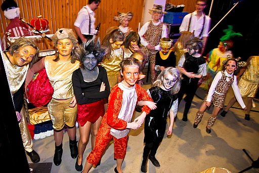 Prunksitzung 2011: Bild 44 von 287