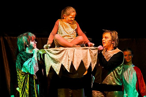 Prunksitzung 2011: Bild 47 von 287