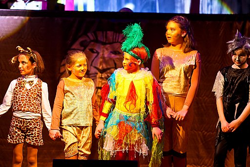 Prunksitzung 2011: Bild 63 von 287