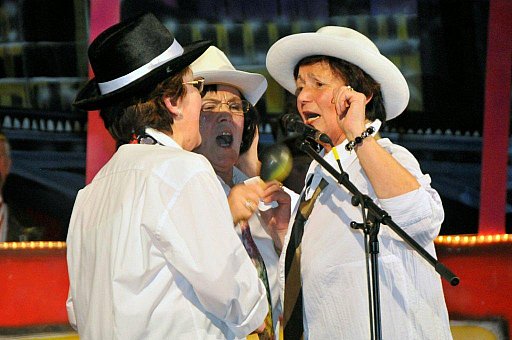 Prunksitzung 2011: Bild 266 von 287