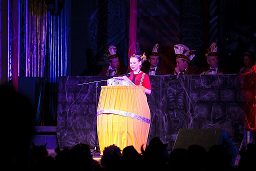 Prunksitzung 2012: Bild 30 von 230
