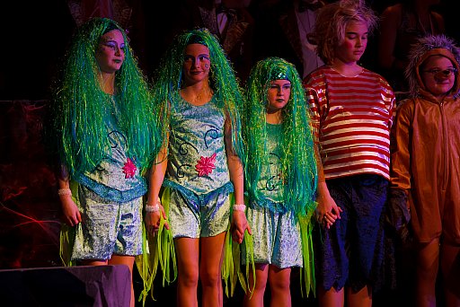 Prunksitzung 2012: Bild 79 von 230