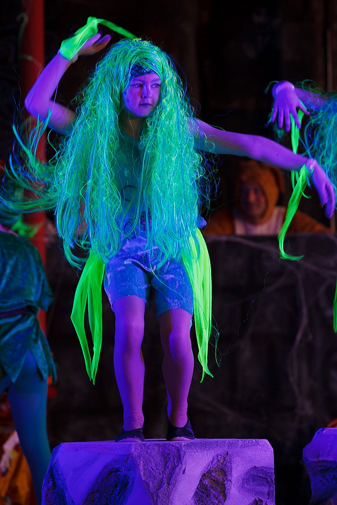 Kinderkarneval 2012: Bild 38 von 82