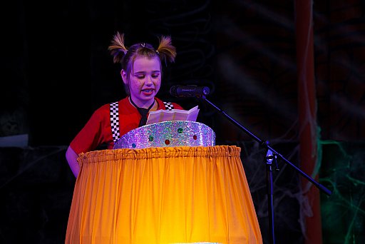 Kinderkarneval 2012: Bild 7 von 82