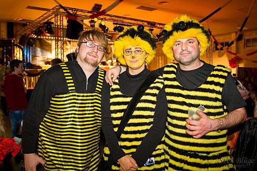 Prunksitzung 2013: Bild 84 von 196