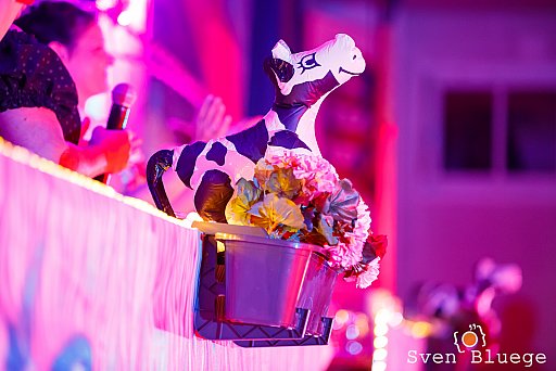 Weiberfastnacht 2018: Bild 71 von 172